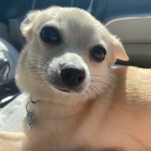 Meet your Posher, Emmy